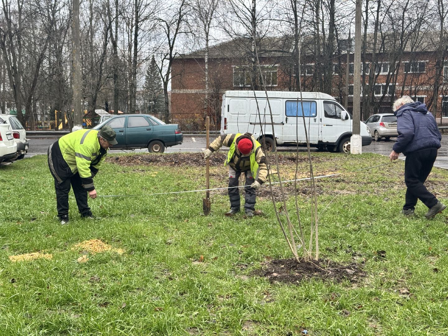 шаховская, посадка деревьев, коммунальная служба, вертикалки,