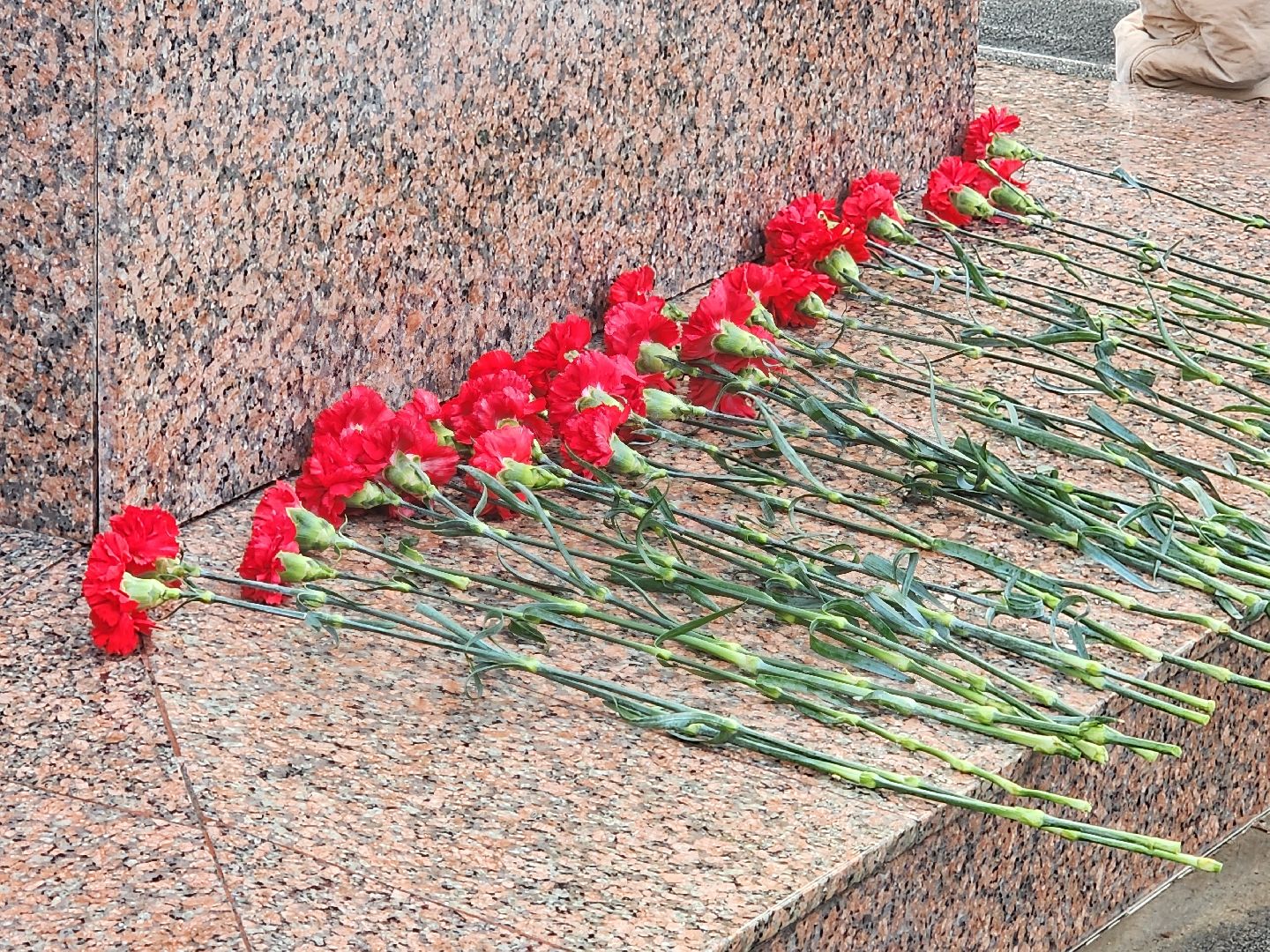 вертикалки, королёв,