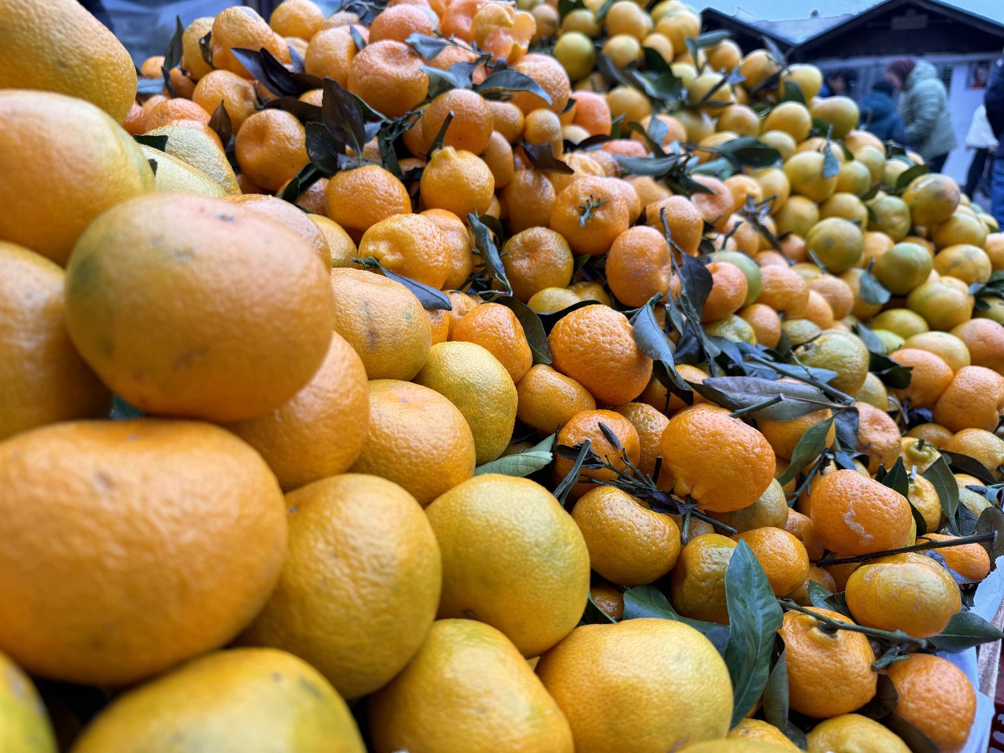 Одинцовское подворье, Проверка мандаринов, Новый год, Ветконтроль,