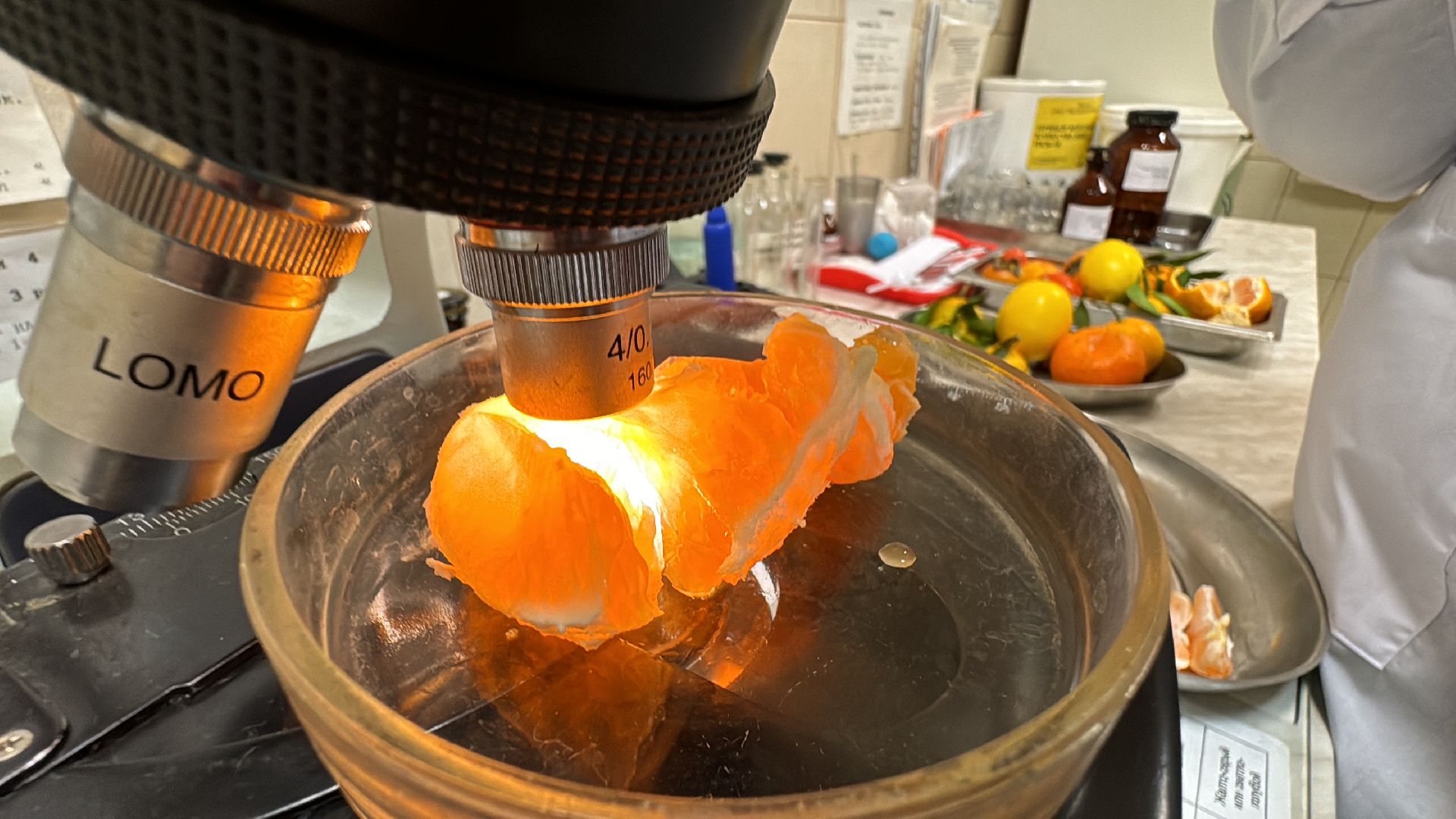 Одинцовское подворье, Проверка мандаринов, Новый год, Ветконтроль,