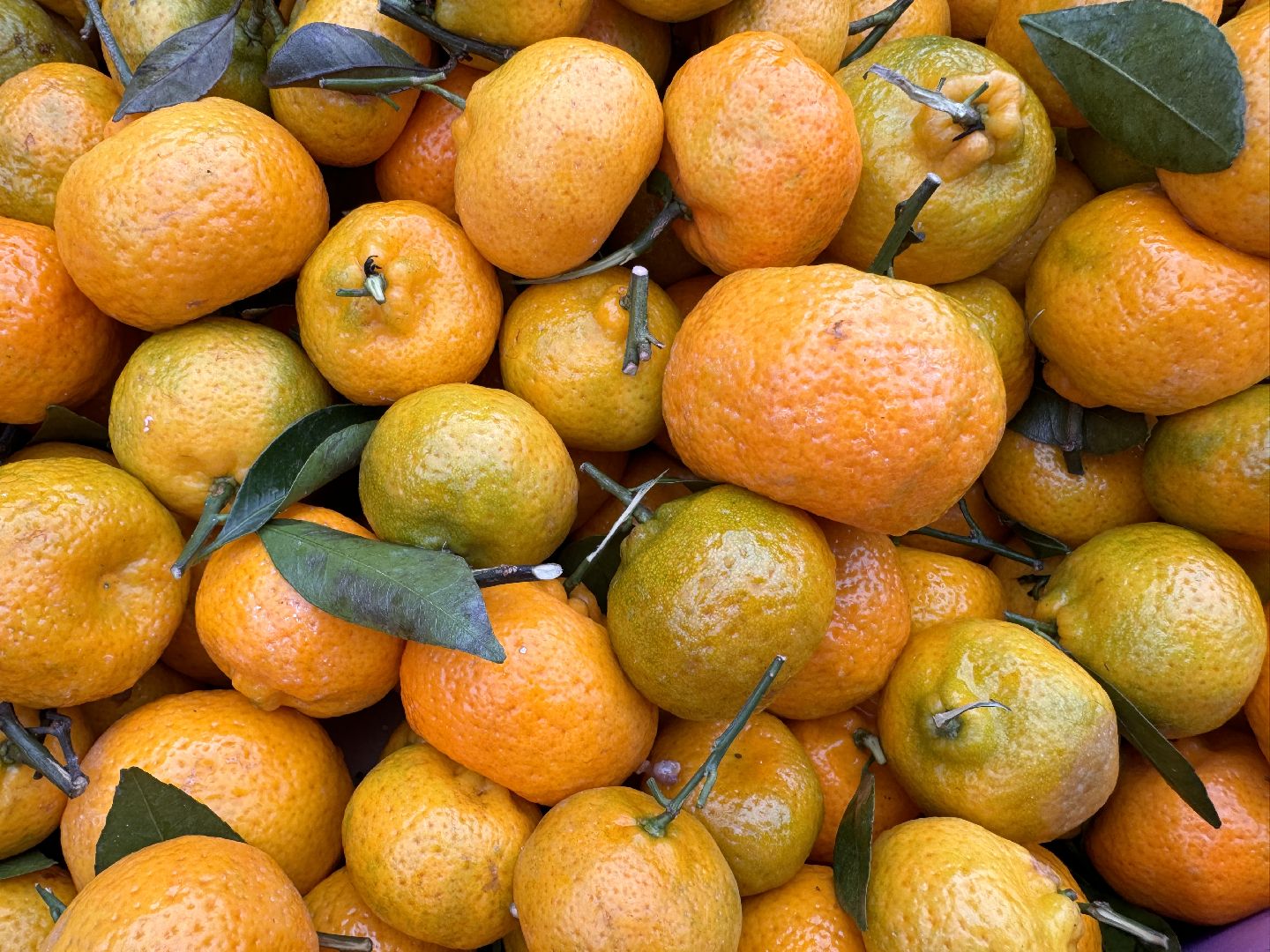 Одинцовское подворье, Проверка мандаринов, Новый год, Ветконтроль,