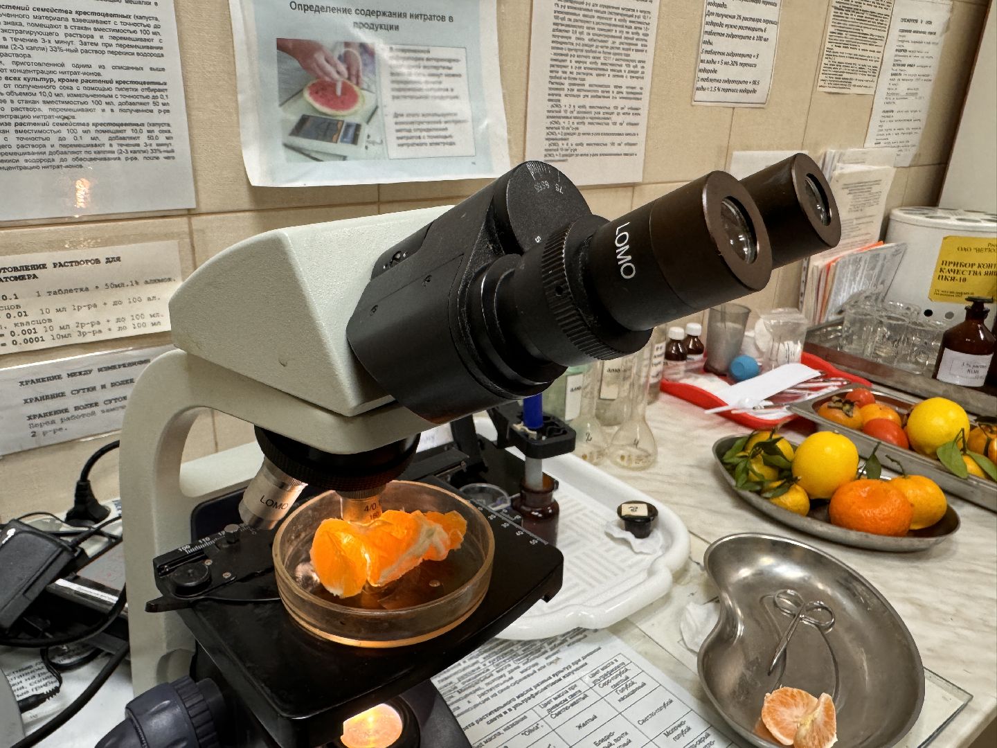 Одинцовское подворье, Проверка мандаринов, Новый год, Ветконтроль,