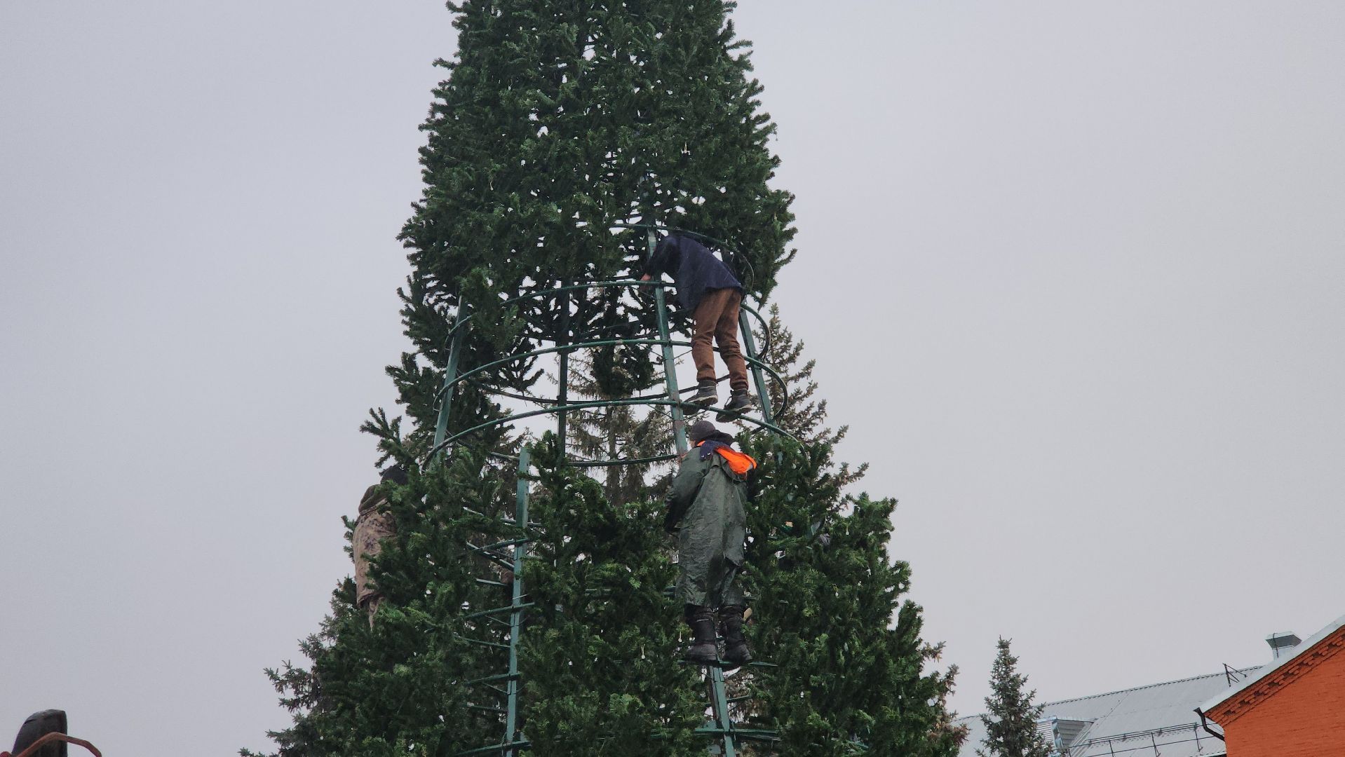 долгопрудный, площадь собина, новогодняя ель, вертикалки,
