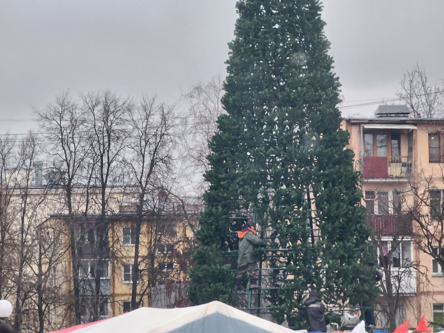 долгопрудный, площадь собина, новогодняя ель, вертикалки,