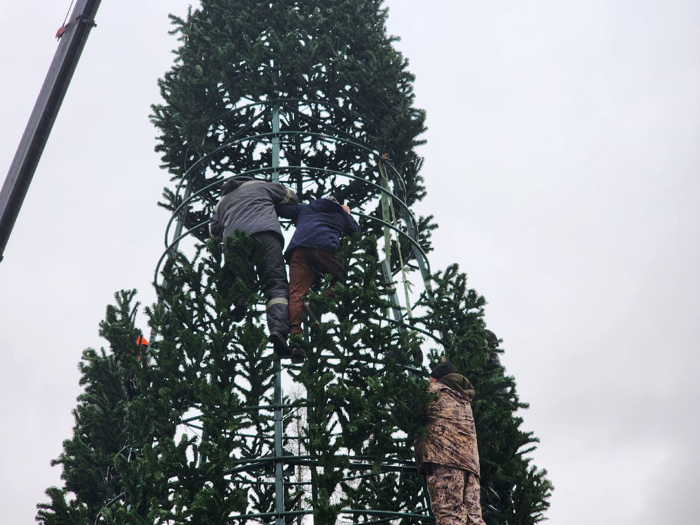 долгопрудный, площадь собина, новогодняя ель, вертикалки,