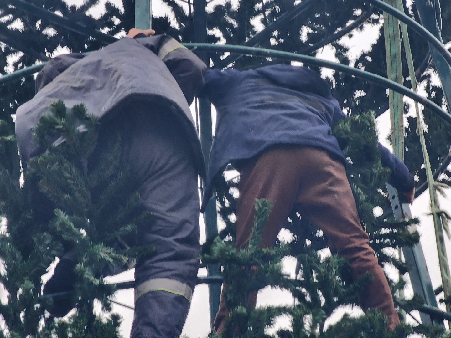 долгопрудный, площадь собина, новогодняя ель, вертикалки,