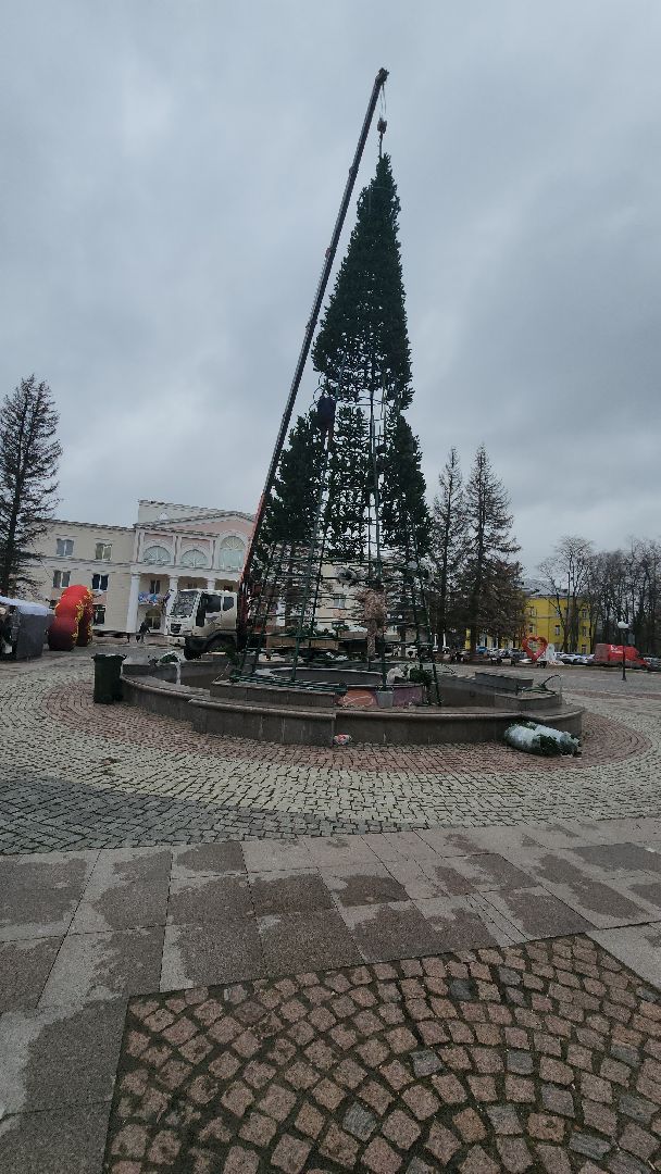 долгопрудный, площадь собина, новогодняя ель, вертикалки,