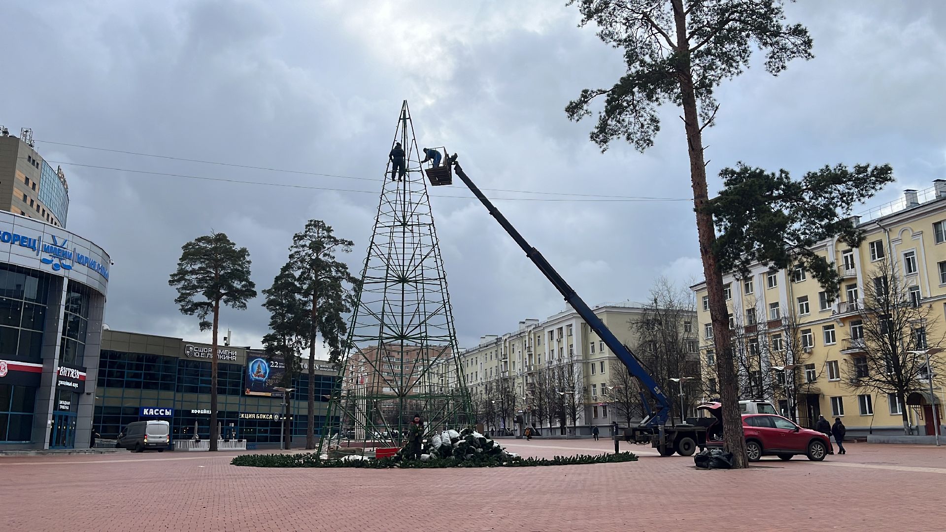 новый год, ёлка, новогодняя елка, новогодняя ель, новогоднее настроение,вертикальное видео, вертикалка,