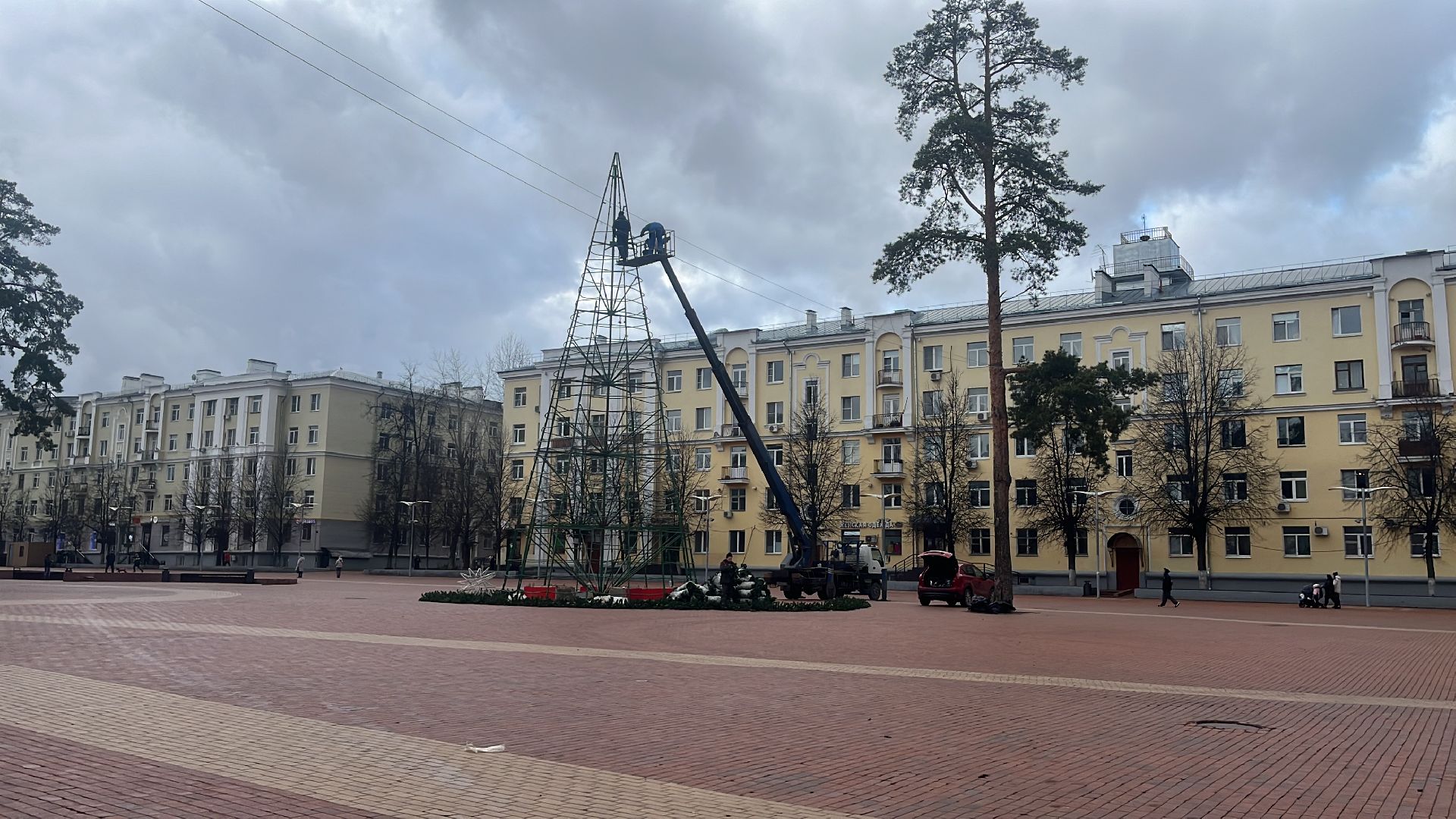 новый год, ёлка, новогодняя елка, новогодняя ель, новогоднее настроение,вертикальное видео, вертикалка,