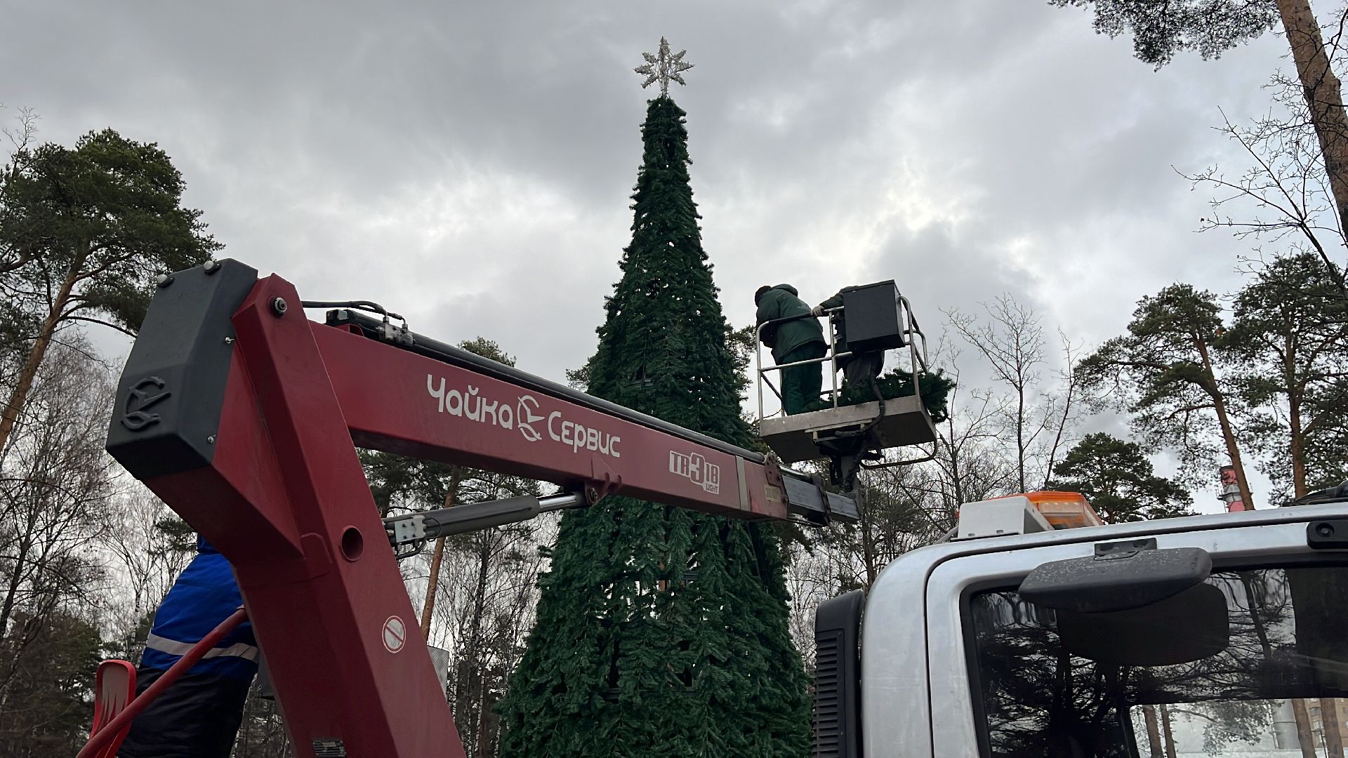 каток в парке, каток в центре города, парк пехорка, зима, зима 2024-2025, зима близко, зима в парках,вертикалка, вертикальное видео,