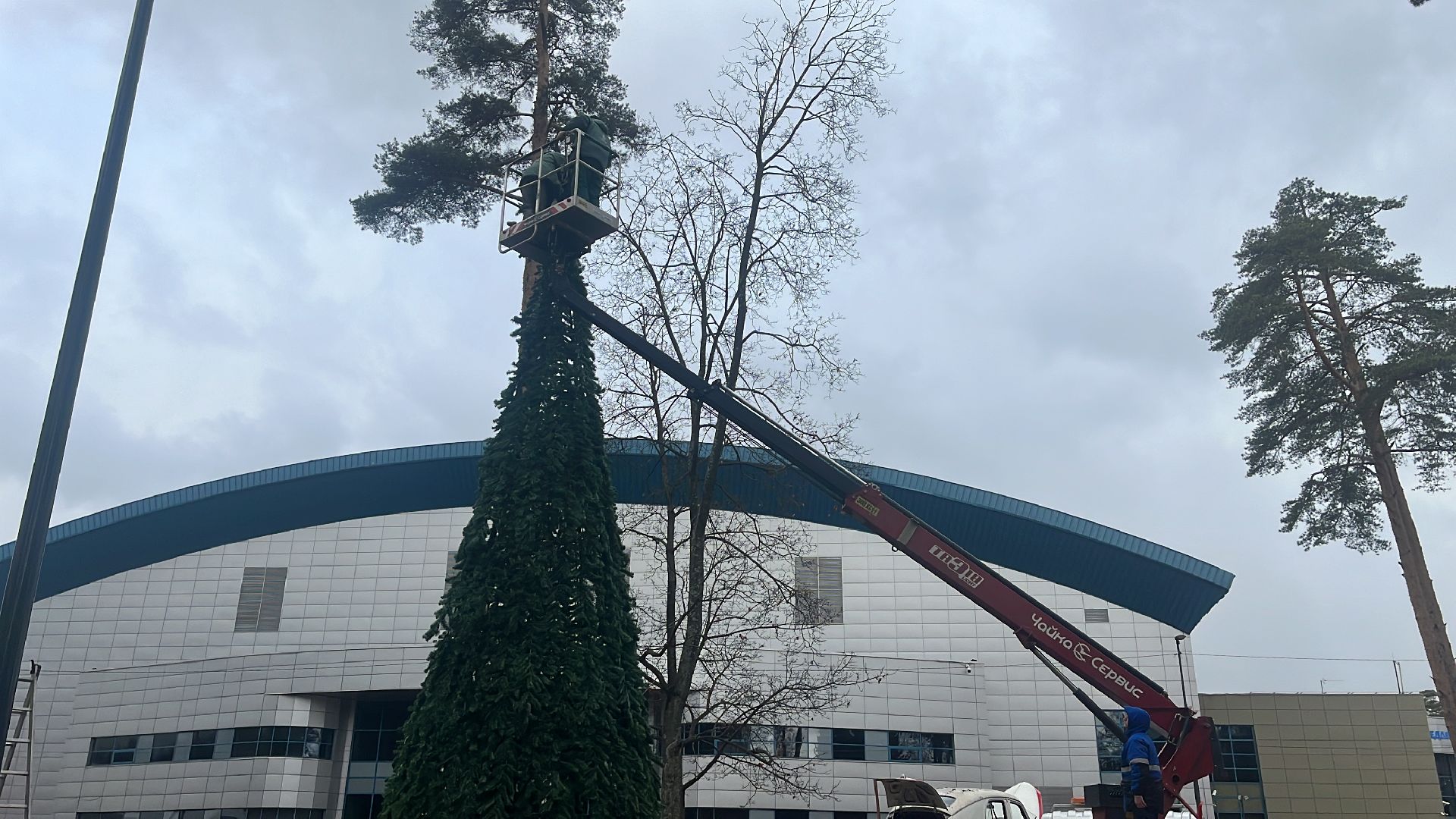 каток в парке, каток в центре города, парк пехорка, зима, зима 2024-2025, зима близко, зима в парках,вертикалка, вертикальное видео,