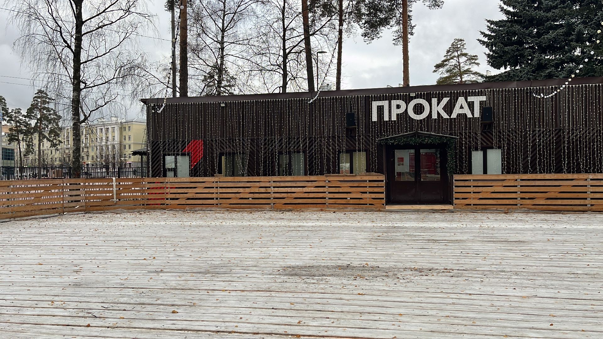 каток в парке, каток в центре города, парк пехорка, зима, зима 2024-2025, зима близко, зима в парках,вертикалка, вертикальное видео,