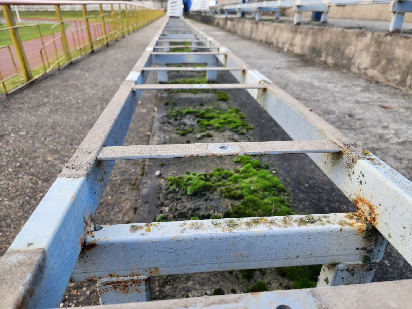 можайск, можайский городской округ, подмосковье, реконструкция стадиона, городской стадион, спартак, спорт, спорт в можайске, спортсмены, Строительство и капитальный ремонт объектов социальной инфраструктуры, государственная программа, вертикалки,