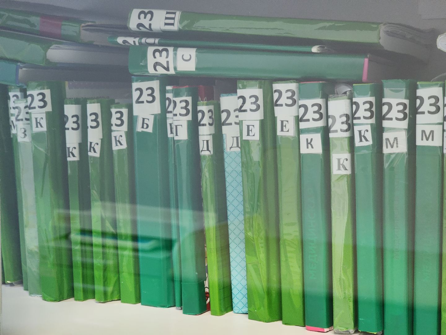 красногорск, педиатр, день педиатара, медицина,