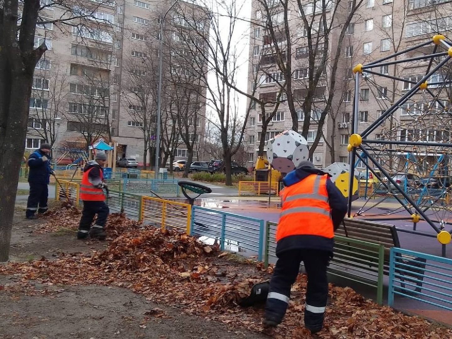 Черноголовка, Жкх, Уборка листвы, вертикалки