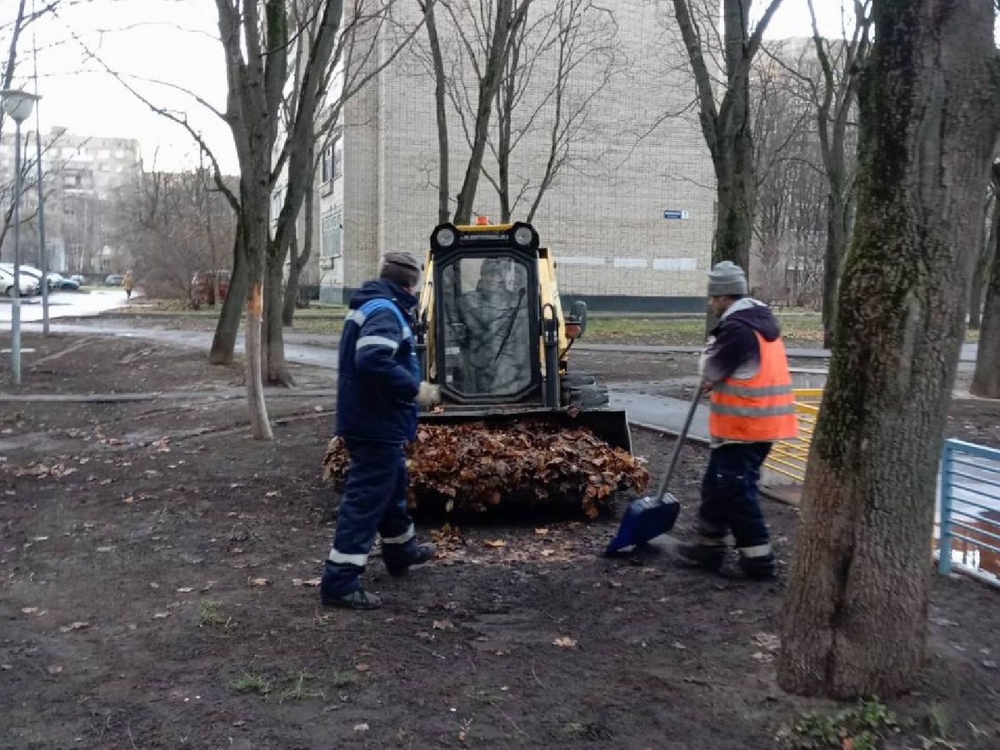 Черноголовка, Жкх, Уборка листвы, вертикалки