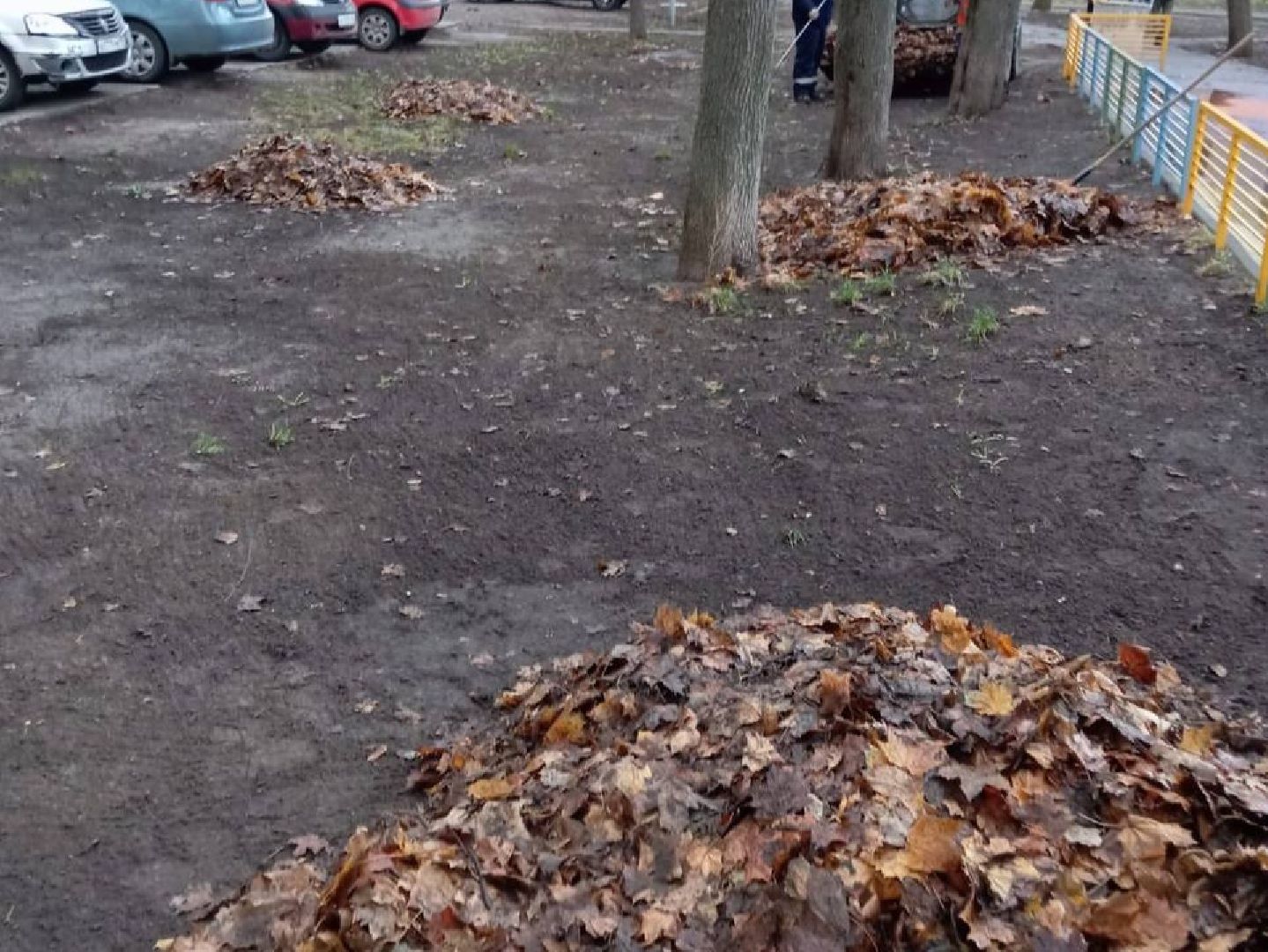 Черноголовка, Жкх, Уборка листвы, вертикалки