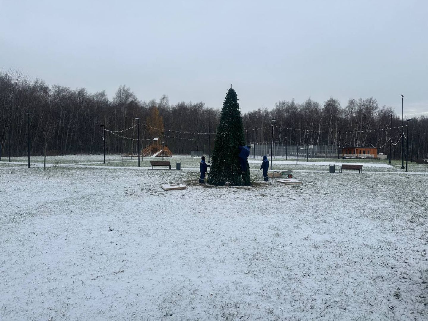 парки домодедово, новогодняя елка,вертикалки