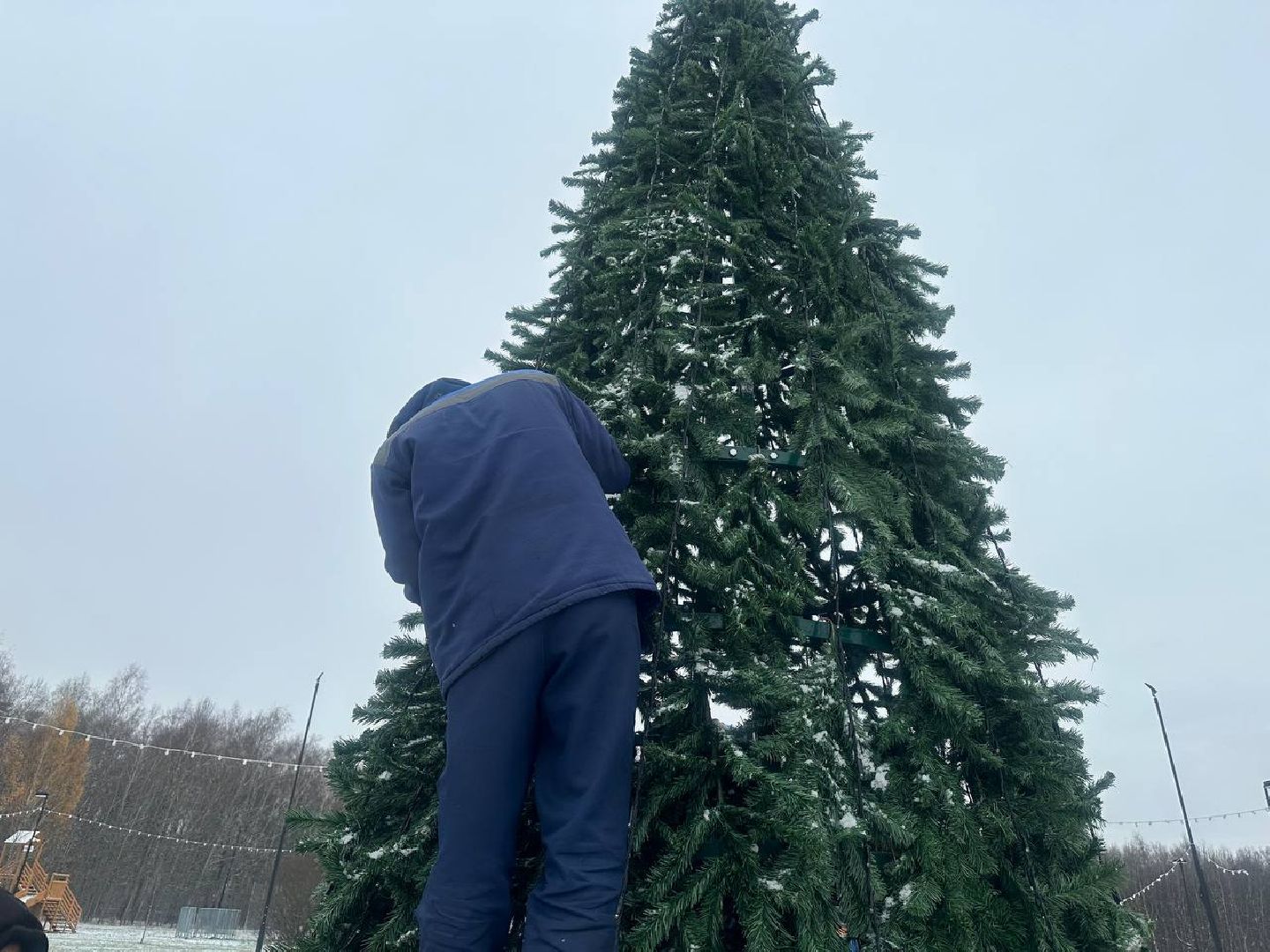 парки домодедово, новогодняя елка,вертикалки