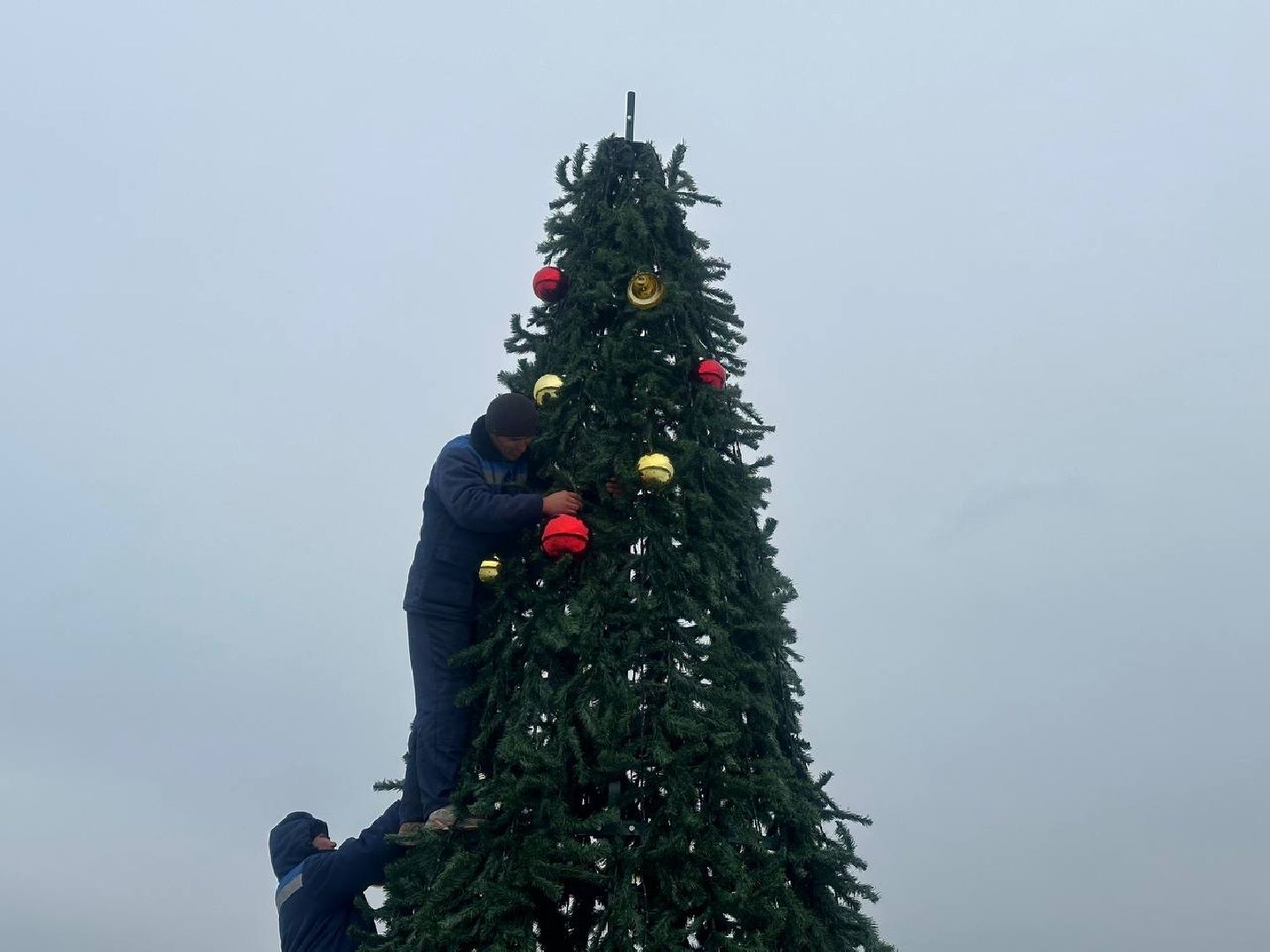 парки домодедово, новогодняя елка,вертикалки