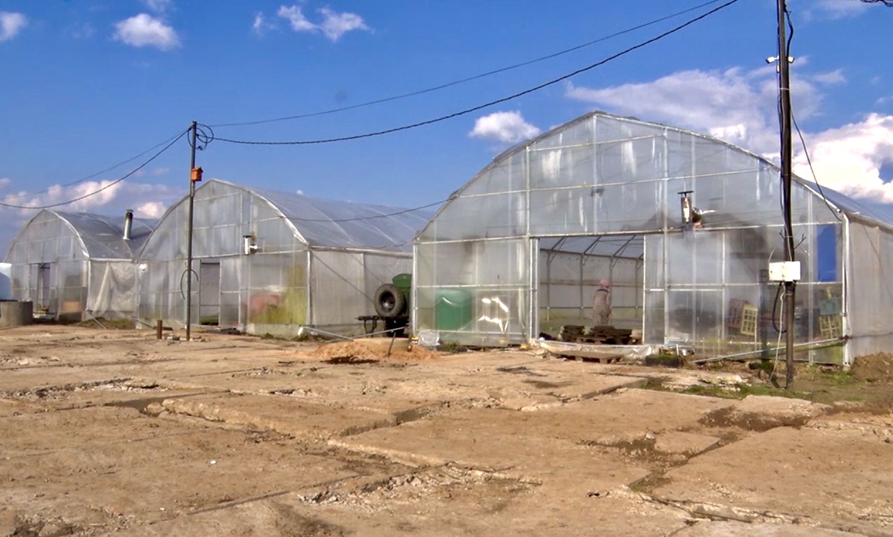 Клин, экономика, сельское хозяйство, фермеры