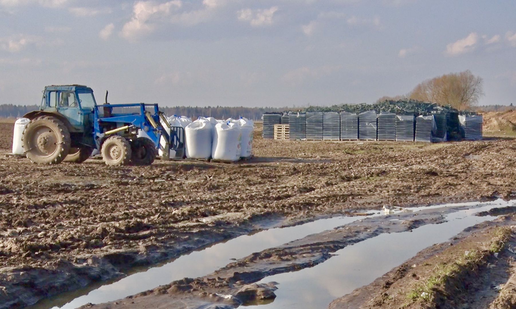 Клин, экономика, сельское хозяйство, фермеры