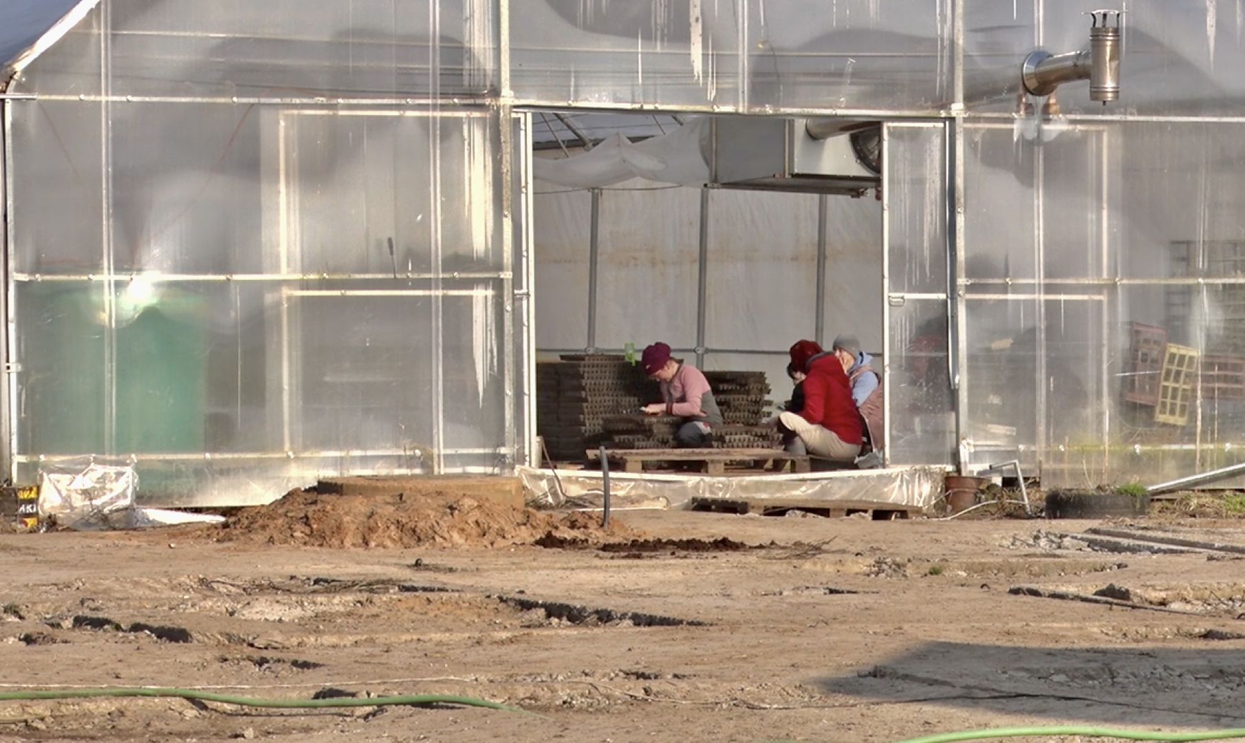 Клин, экономика, сельское хозяйство, фермеры