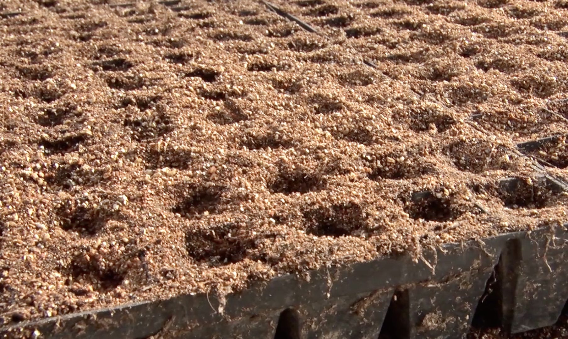 Клин, экономика, сельское хозяйство, фермеры