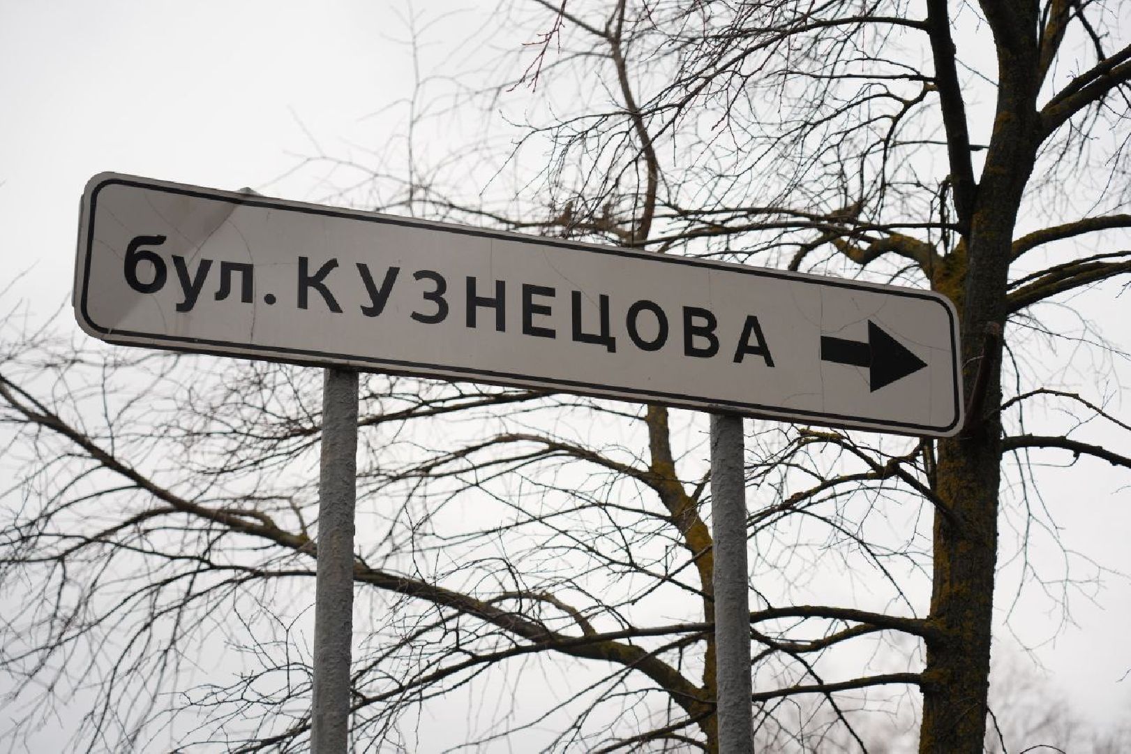 Сергиев Посад, Концепция пространственного развития Сергиева Посада, Краеведение, Архитектура, Благоустройство, Сергиево-Посадский городской округ, вертикалки,