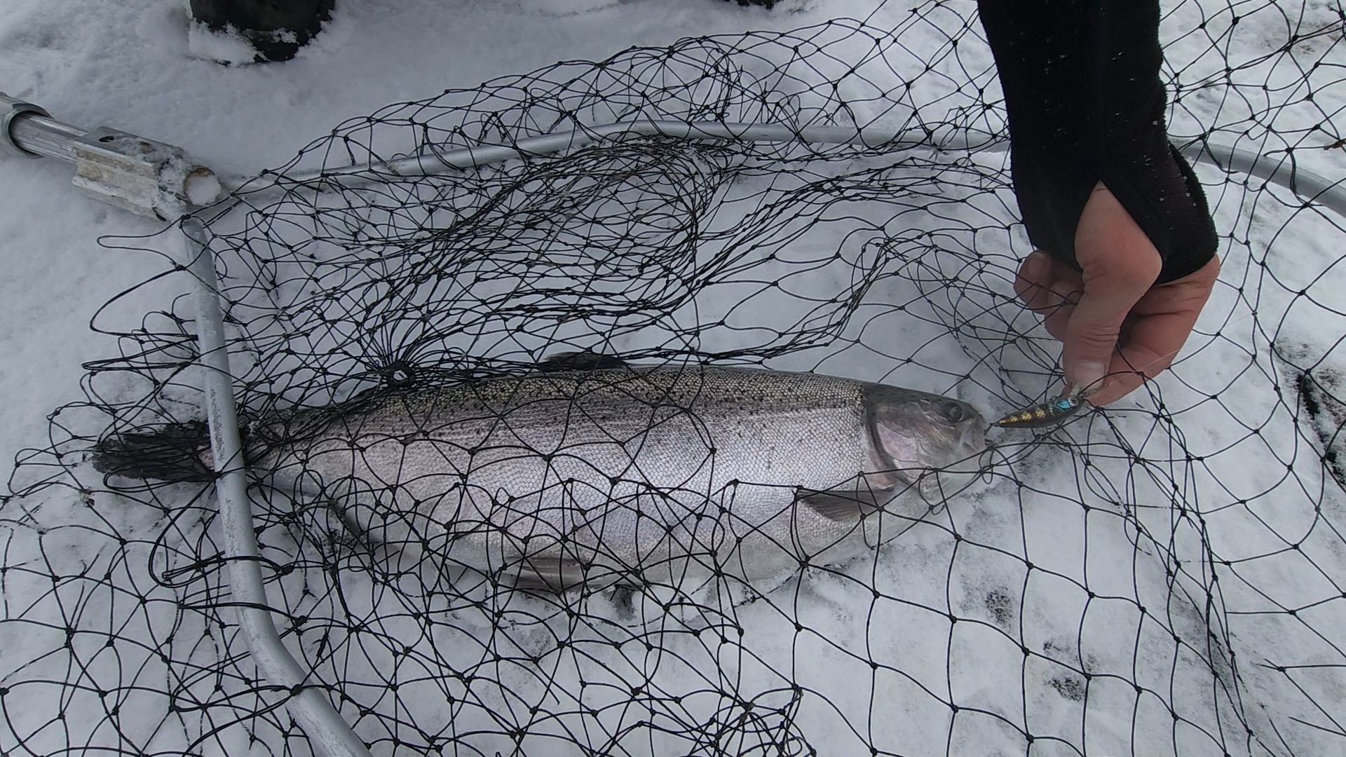 одинцово, отдых, рыбалка, форель, вертикалка, вертикальное видео,