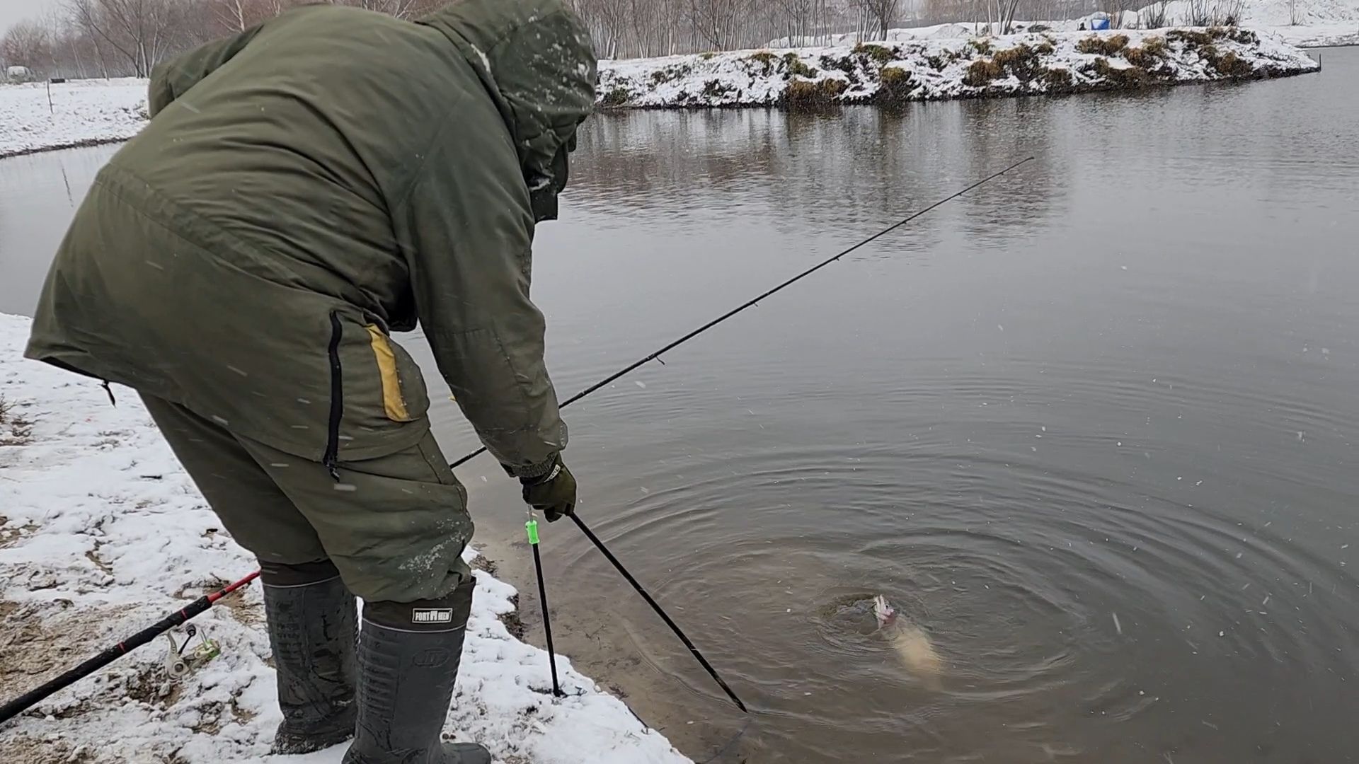 Раменское, Платная рыбалка, Сезон форели, Рыболовный клуб,Вертикалка, Вертикальное видео,