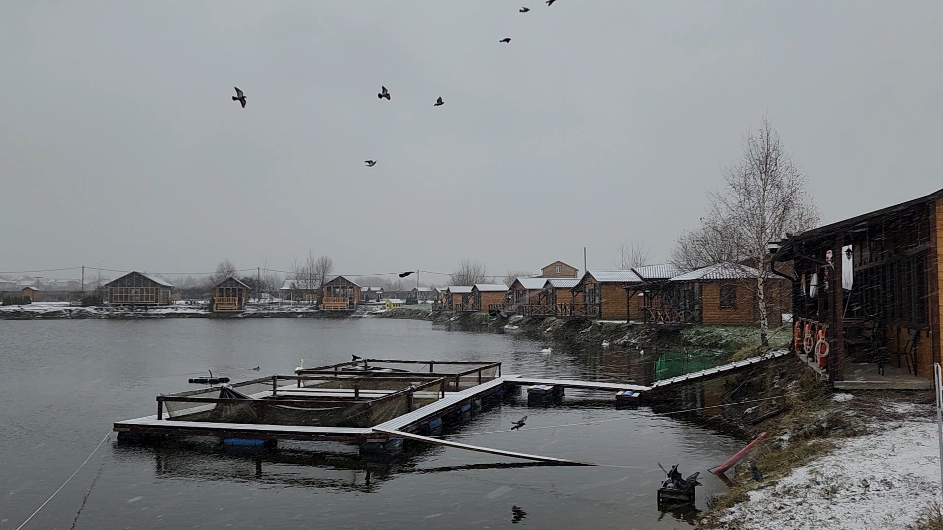 Раменское, Платная рыбалка, Сезон форели, Рыболовный клуб,Вертикалка, Вертикальное видео,