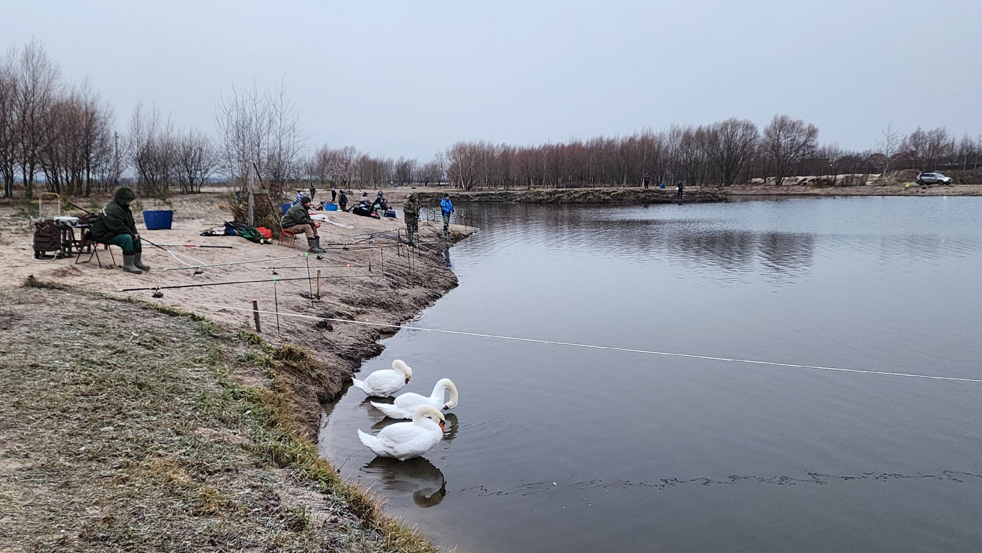 Раменское, Платная рыбалка, Сезон форели, Рыболовный клуб,Вертикалка, Вертикальное видео,