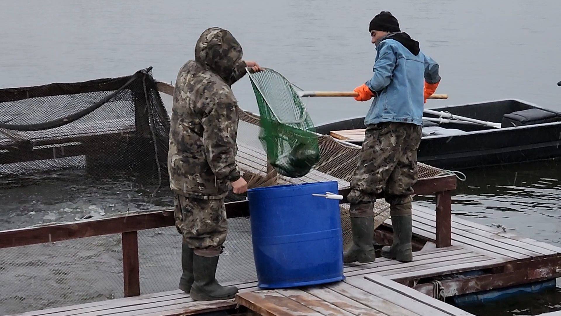Раменское, Платная рыбалка, Сезон форели, Рыболовный клуб,Вертикалка, Вертикальное видео,