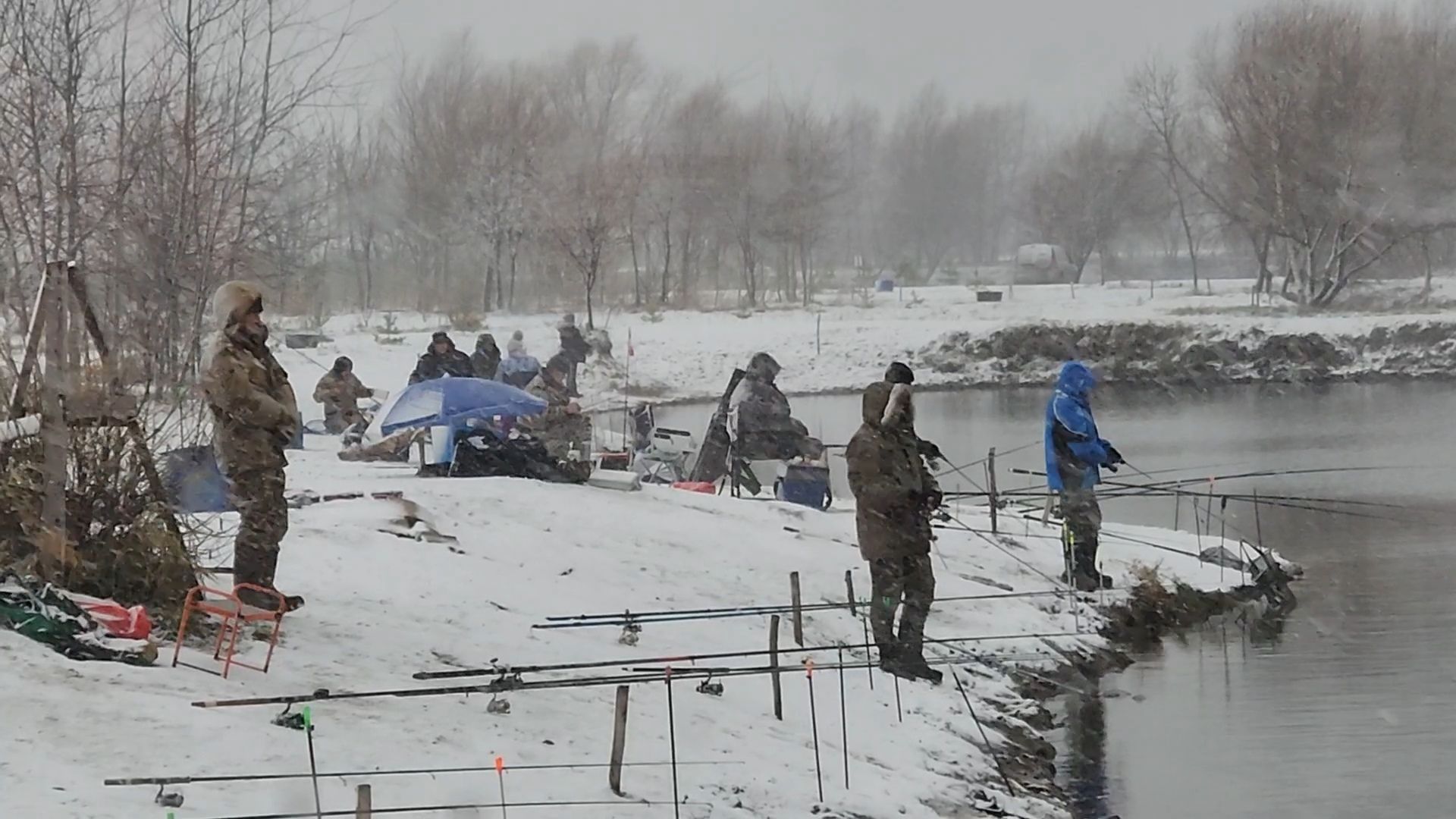 Раменское, Платная рыбалка, Сезон форели, Рыболовный клуб,Вертикалка, Вертикальное видео,