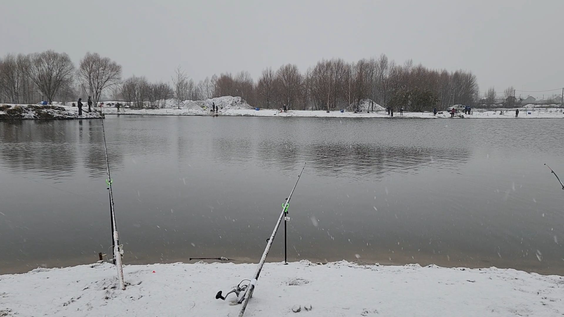 Раменское, Платная рыбалка, Сезон форели, Рыболовный клуб,Вертикалка, Вертикальное видео,