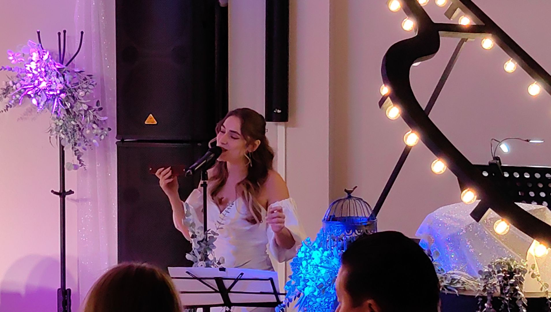 премьера спектакля, театр, актер, живая музыка, вертикалки