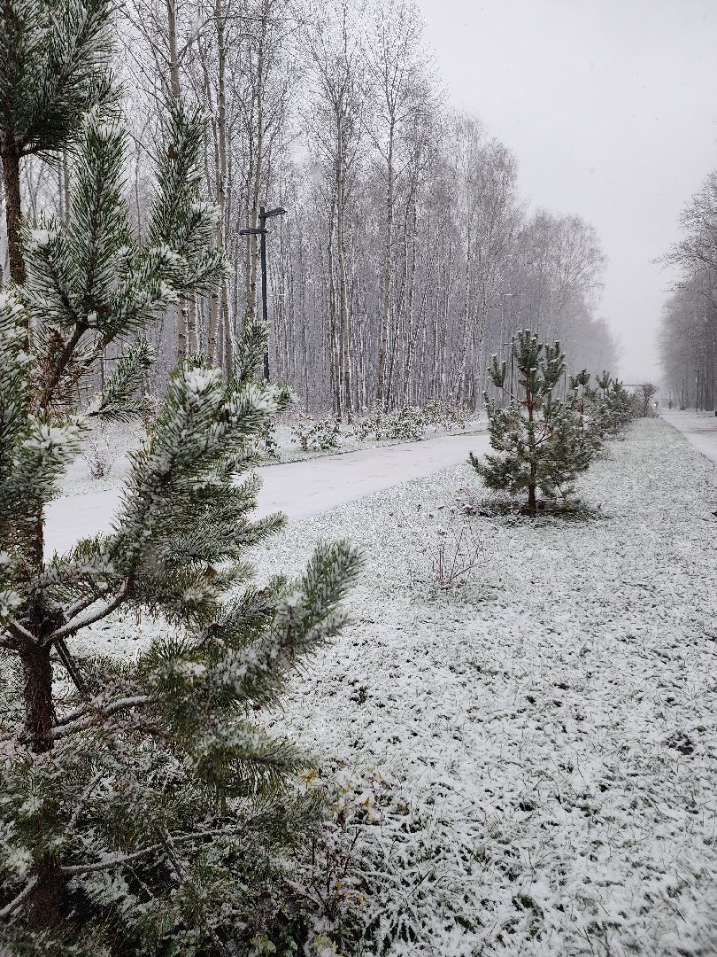 жкх, жкх подмосковья, коммунальная техника, снегоуборка, снегоуборочная техника, снегоуборочные машины, электросталь, вертикалки