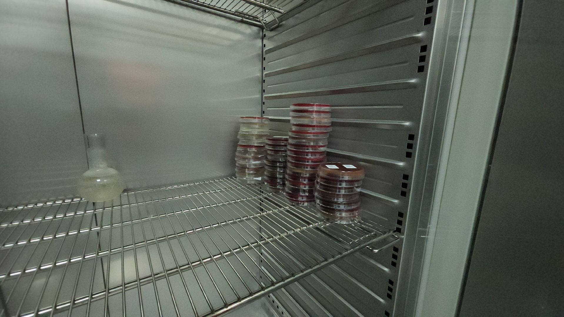 красногорск, больница, антимикробная резистентность, медицина,