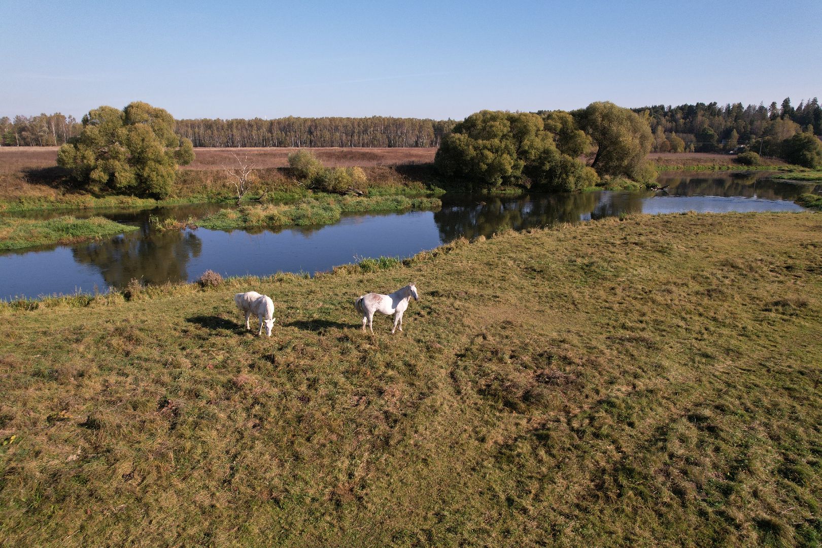 видео с коптера, санаторий, руза,