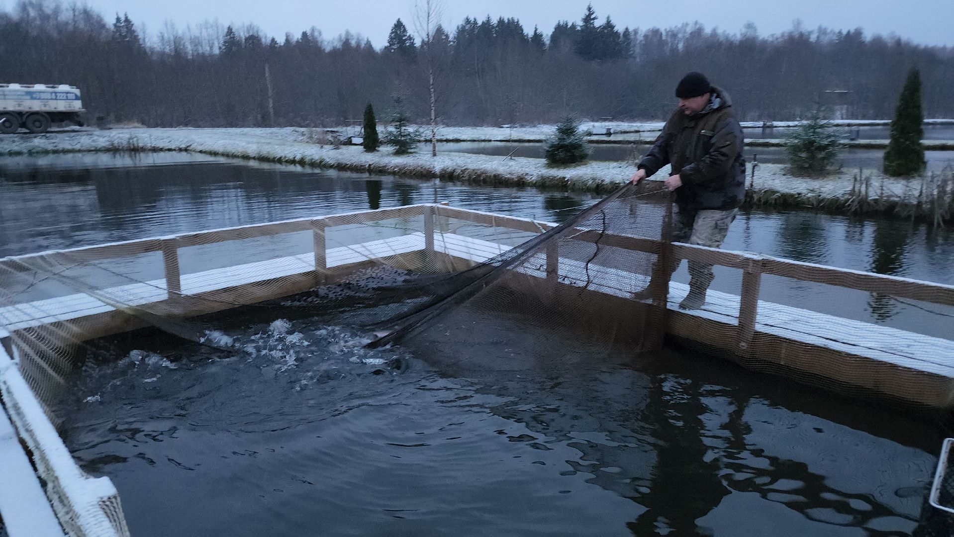 Рыба, рыбалка, платная рыбалка, Фишка, Рыболовный клуб, Руза, рузский городской округ,