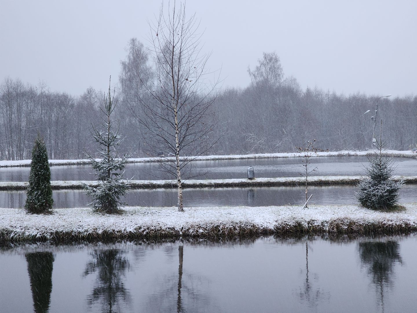 Рыба, рыбалка, платная рыбалка, Фишка, Рыболовный клуб, Руза, рузский городской округ,