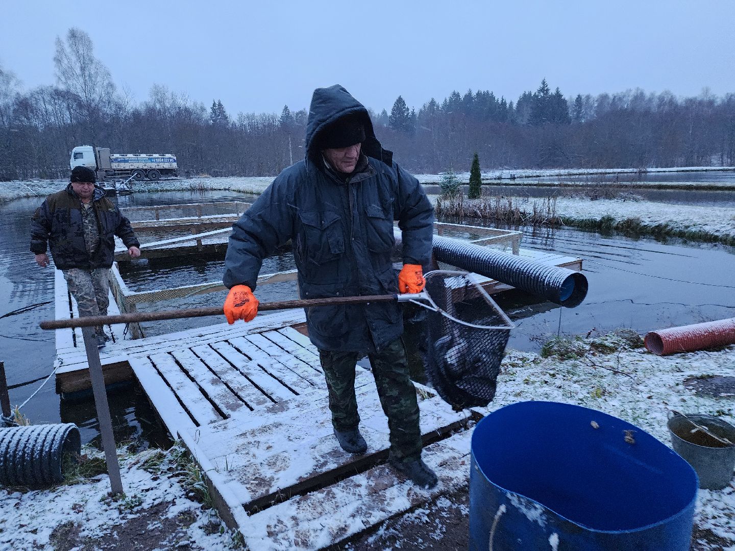 Рыба, рыбалка, платная рыбалка, Фишка, Рыболовный клуб, Руза, рузский городской округ,