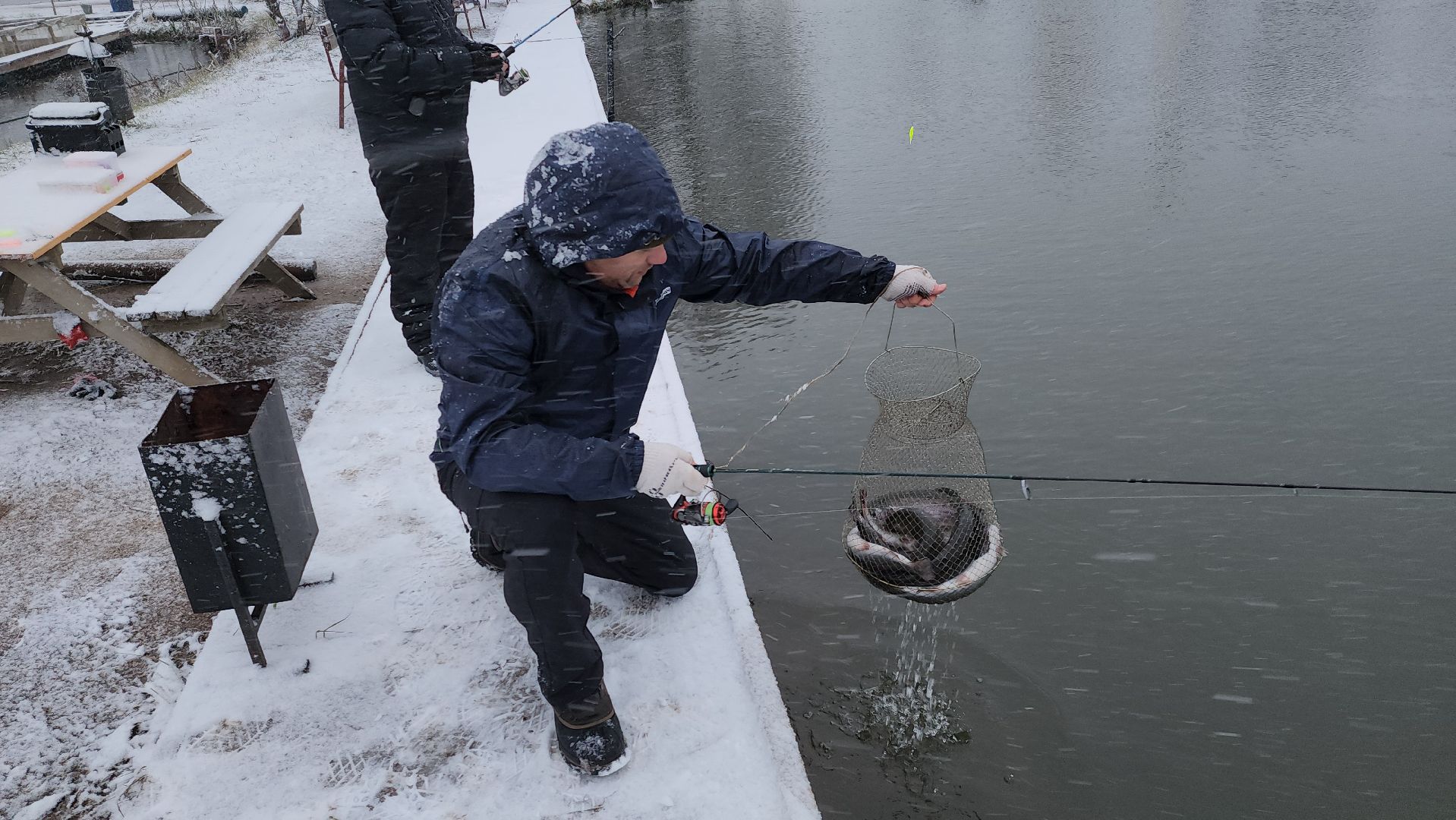 Рыба, рыбалка, платная рыбалка, Фишка, Рыболовный клуб, Руза, рузский городской округ,