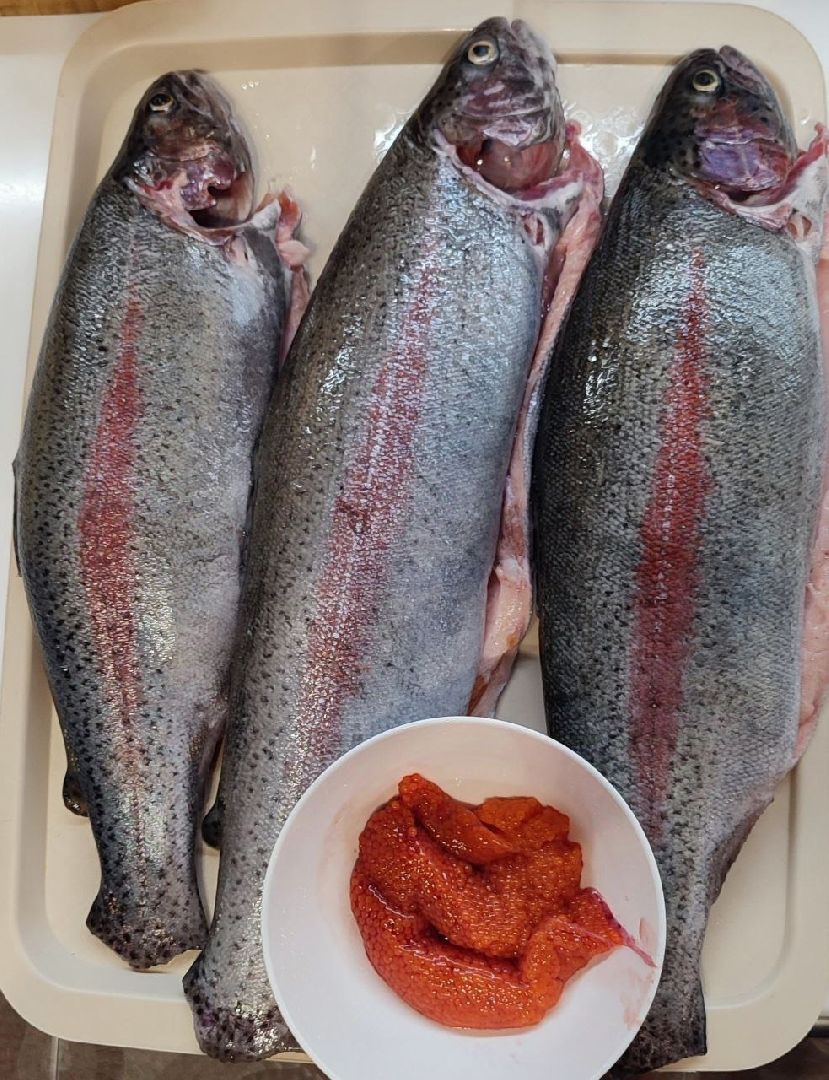 серпухов, подмосковье, рыбалка, форель, сьяново-2,