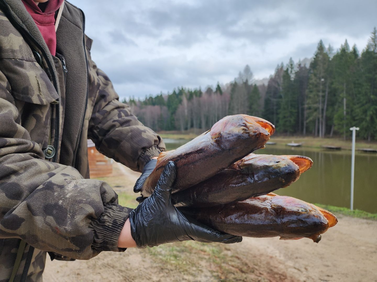 серпухов, подмосковье, рыбалка, форель, сьяново-2,