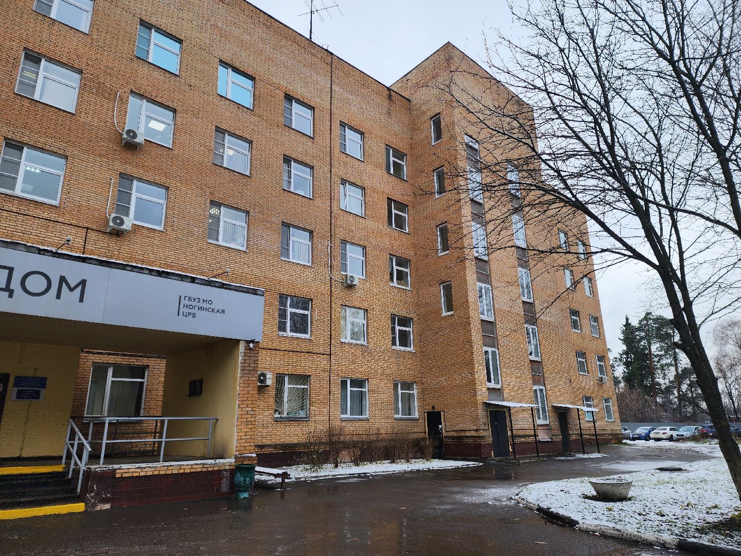 день матери, общество, жители, праздник, акушер, гинеколог, ногинск, медицина,