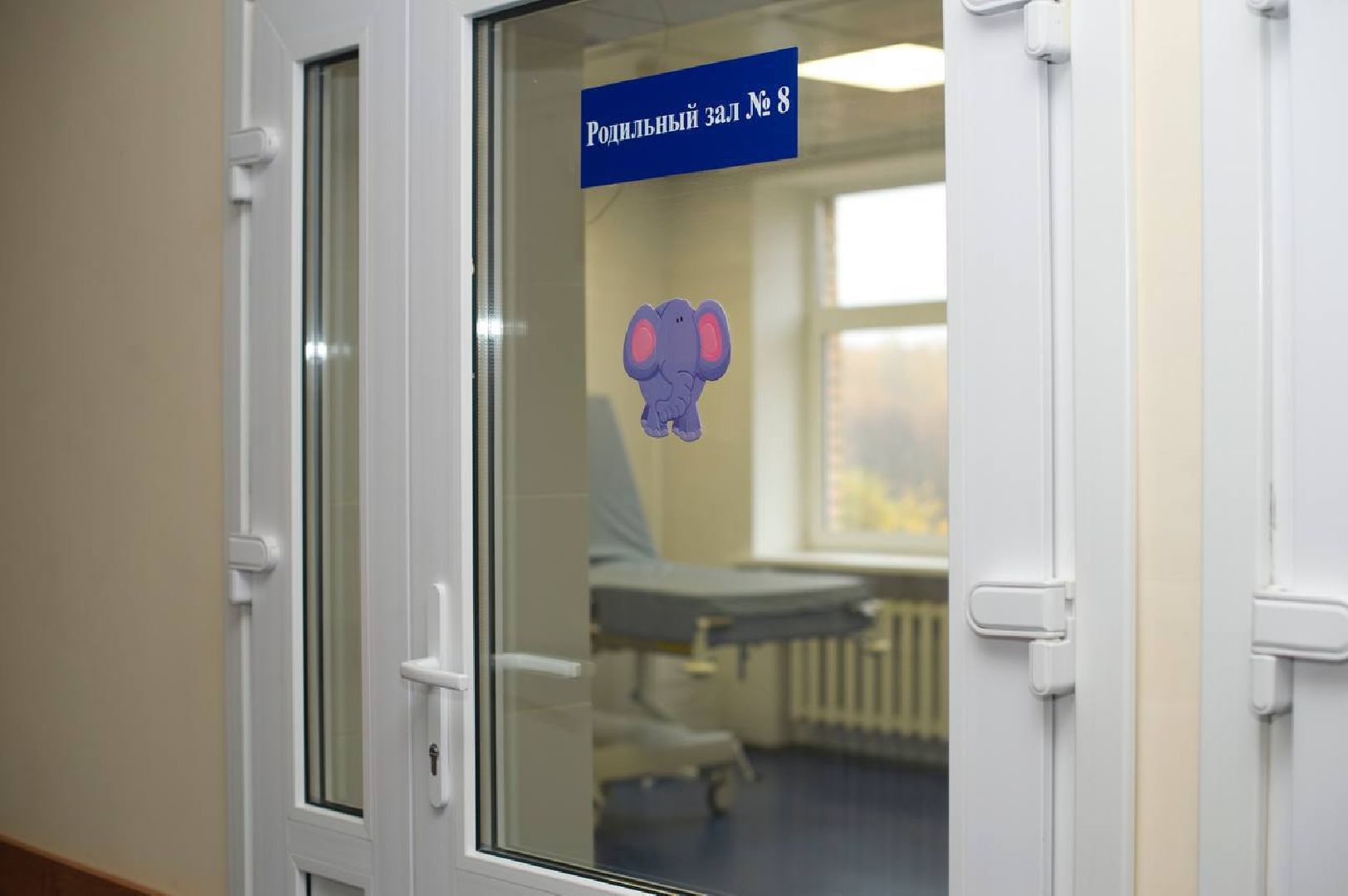 день матери, общество, жители, праздник, акушер, гинеколог, ногинск, медицина,