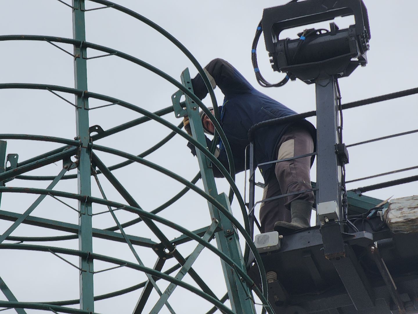 новогодняя елка, новогодняя ель, руза, рузский городской округ, новый год, новогоднее настроение, московская область, вертикалки,