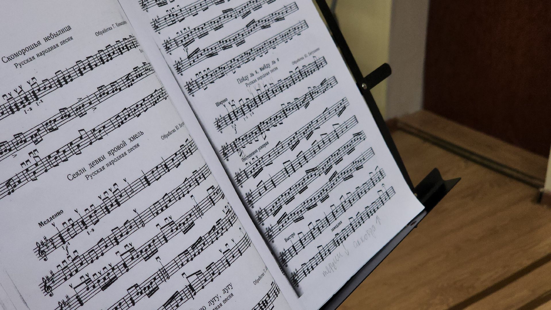 кашира, детская школа искусств, гусли,